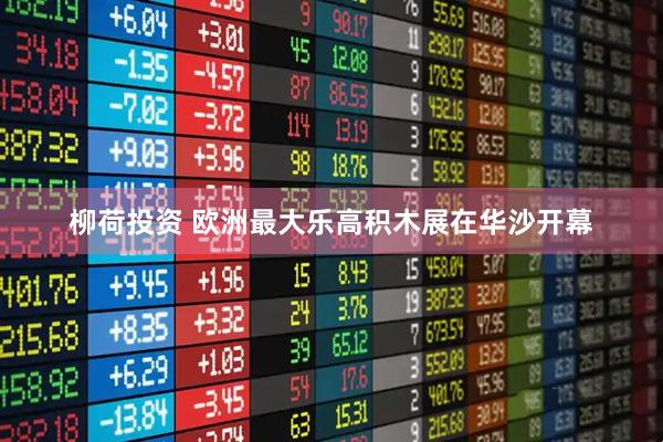 柳荷投资 欧洲最大乐高积木展在华沙开幕